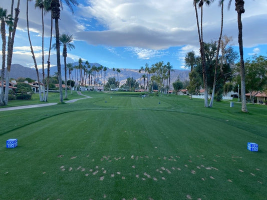 Best Formats for Golf Trips with Your Buddies