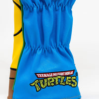 TMNT - Leonardo Driver Cover