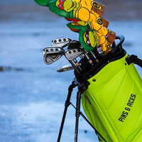 TMNT - Raphael Hybrid Cover