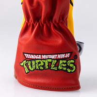 TMNT - Raphael Hybrid Cover