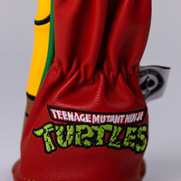 TMNT - Raphael Hybrid Cover