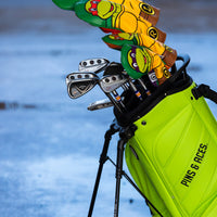 TMNT - Raphael Hybrid Cover