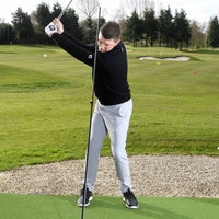 Swing Plate Extension Pole (pole only)